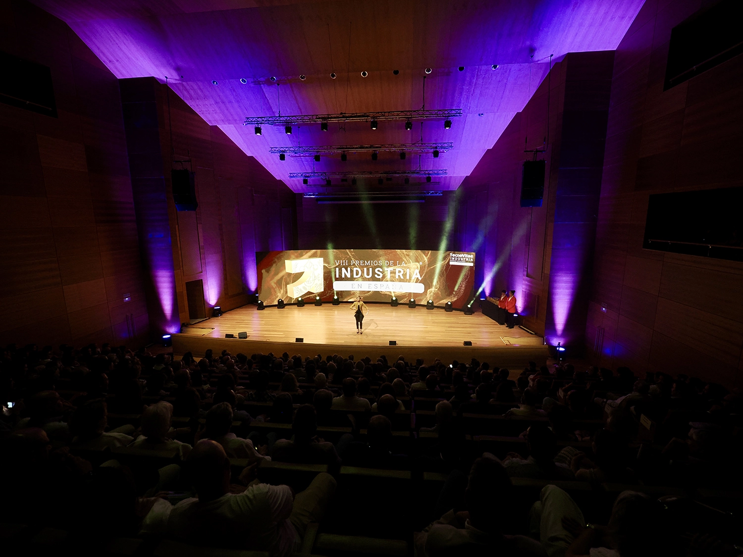 viii-premios-industria-espana-gala-019
