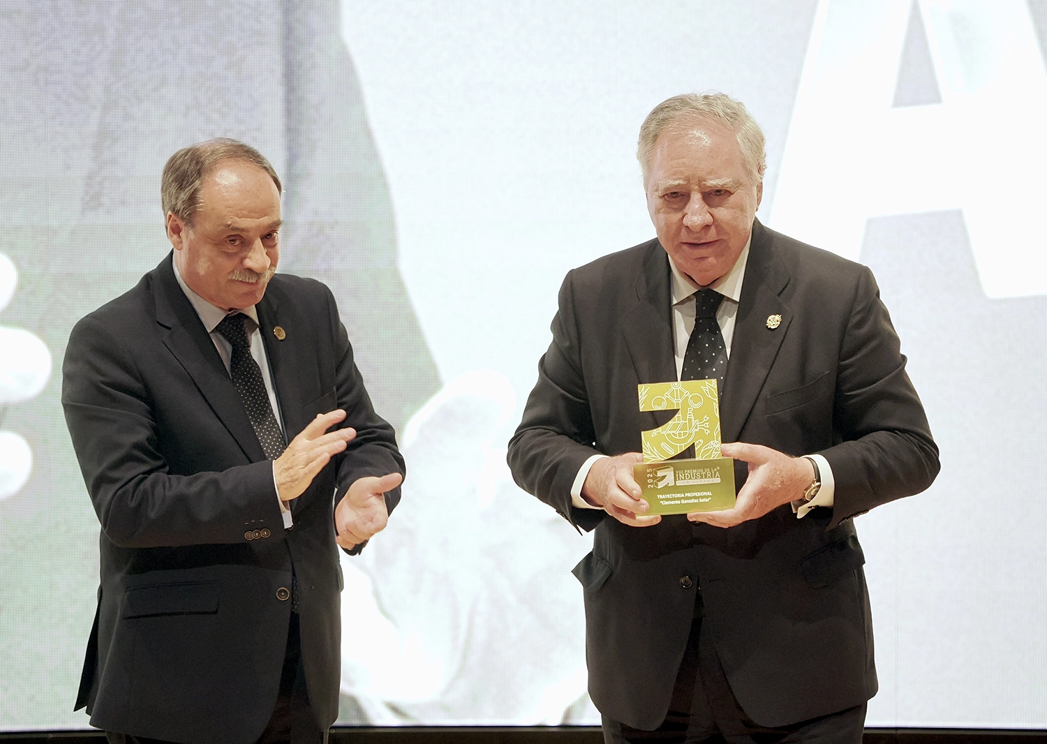 viii-premios-industria-espana-gala-084