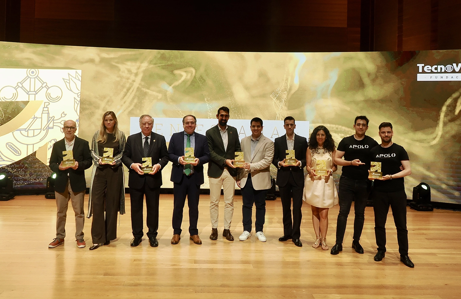 viii-premios-industria-espana-gala-106